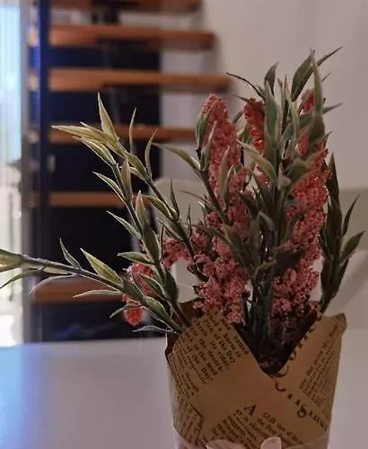 Casa Natura - Olib, Gem Of Islands * Olib